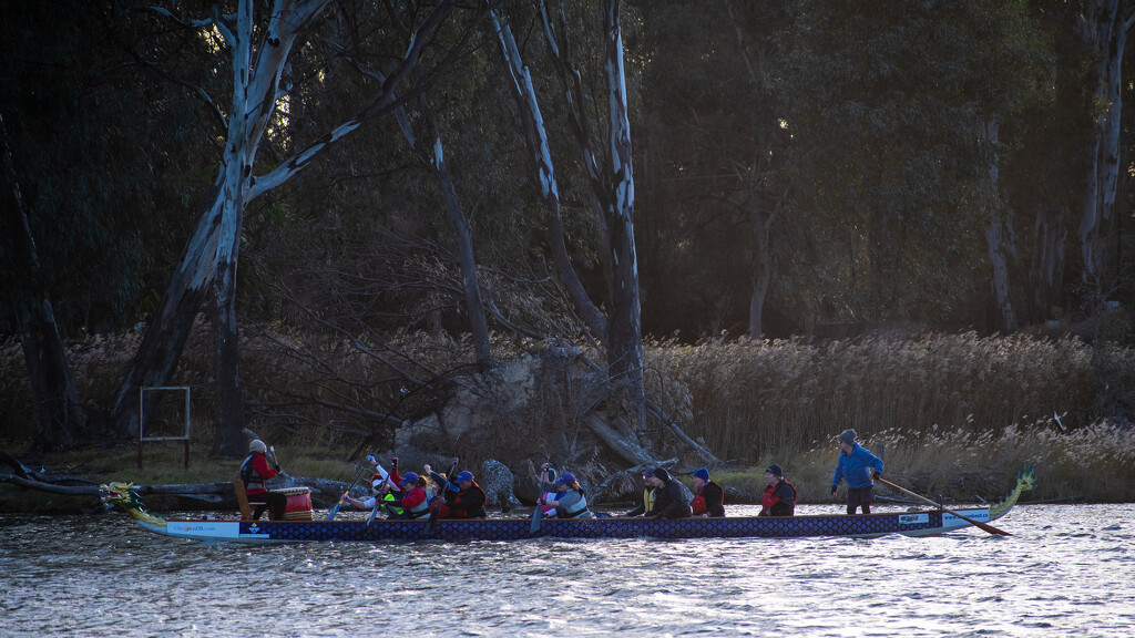 Dragon Boat by nannasgotitgoingon