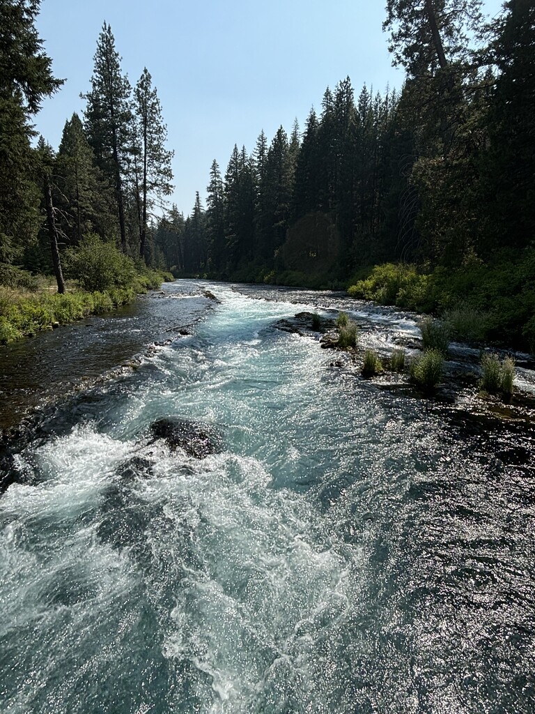 Metolius River by pirish