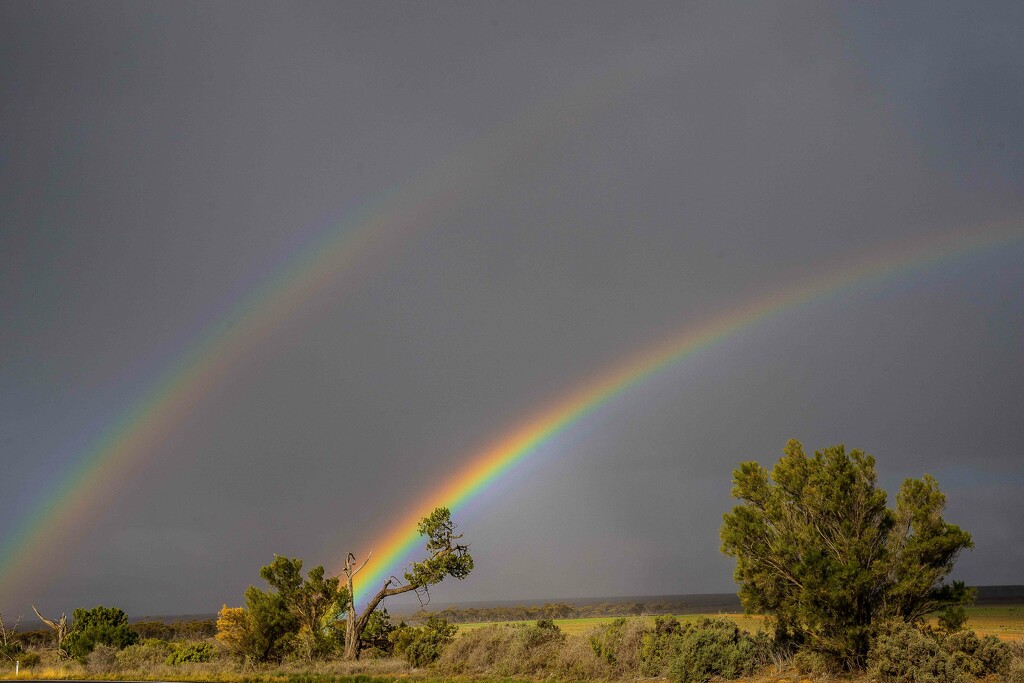 Double rainbow by pusspup