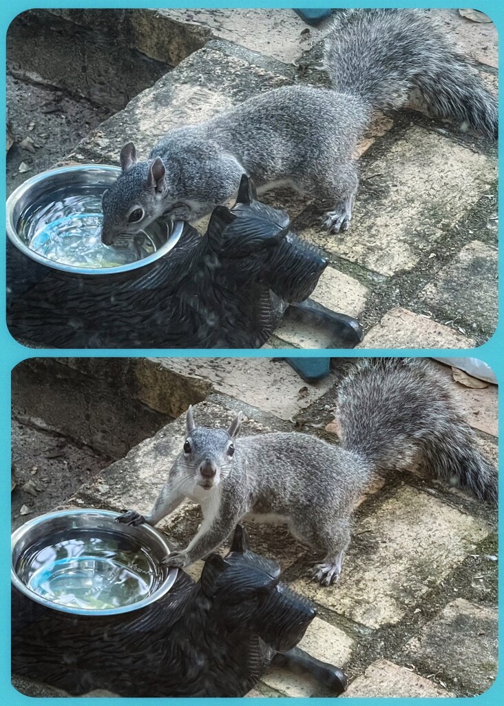 Make Sure to Drink Your Water by gardenfolk