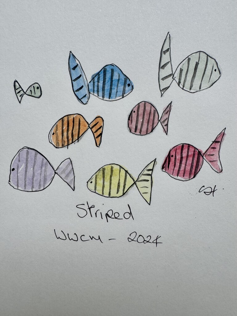 Striped by wakelys