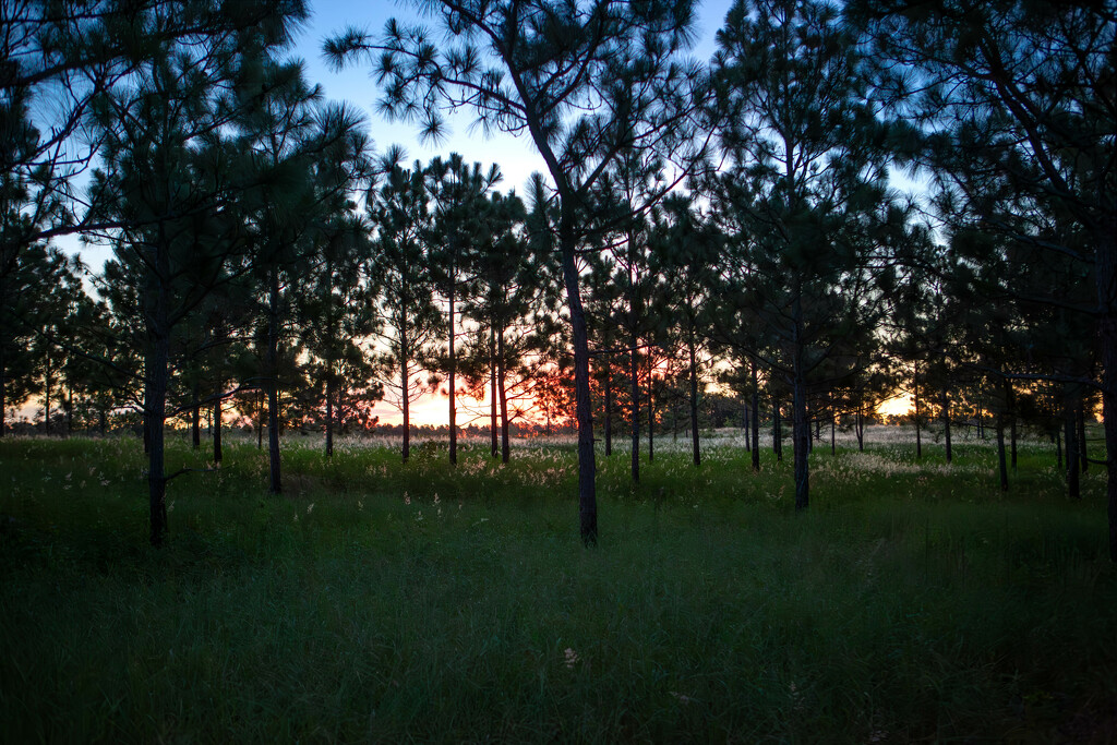 Sunrise in Central Florida by frodob