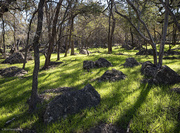 20th Jul 2024 - Light and Boulders