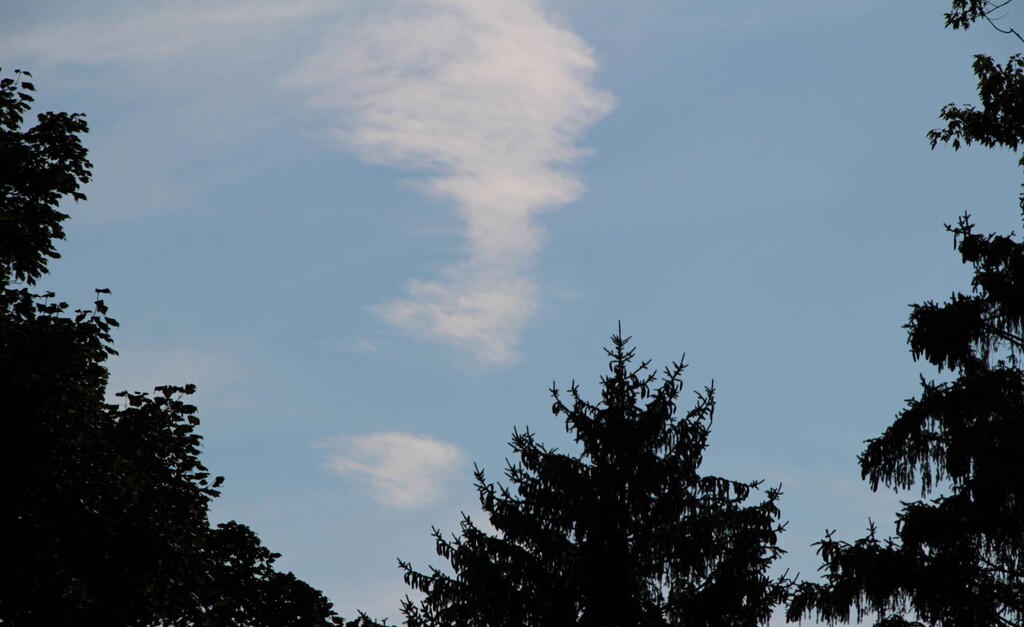 Evening view from my patio by mittens