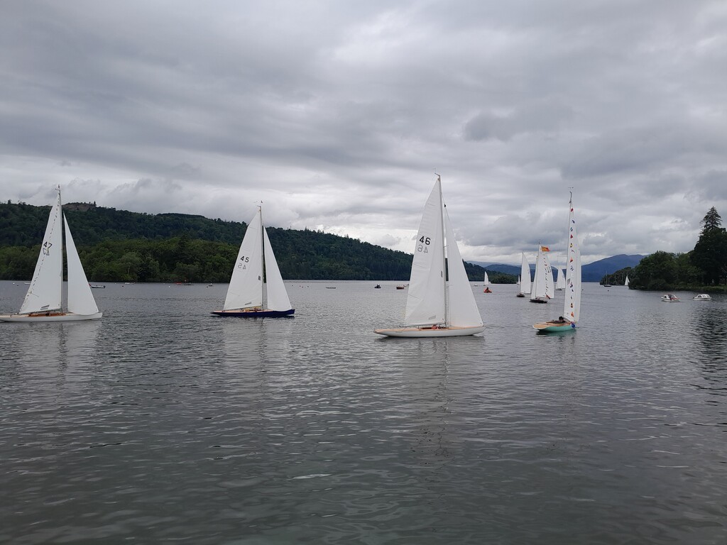 Windermere 17s by anniesue