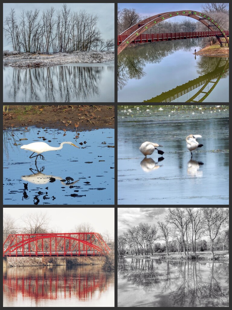 collaged reflections by amyk