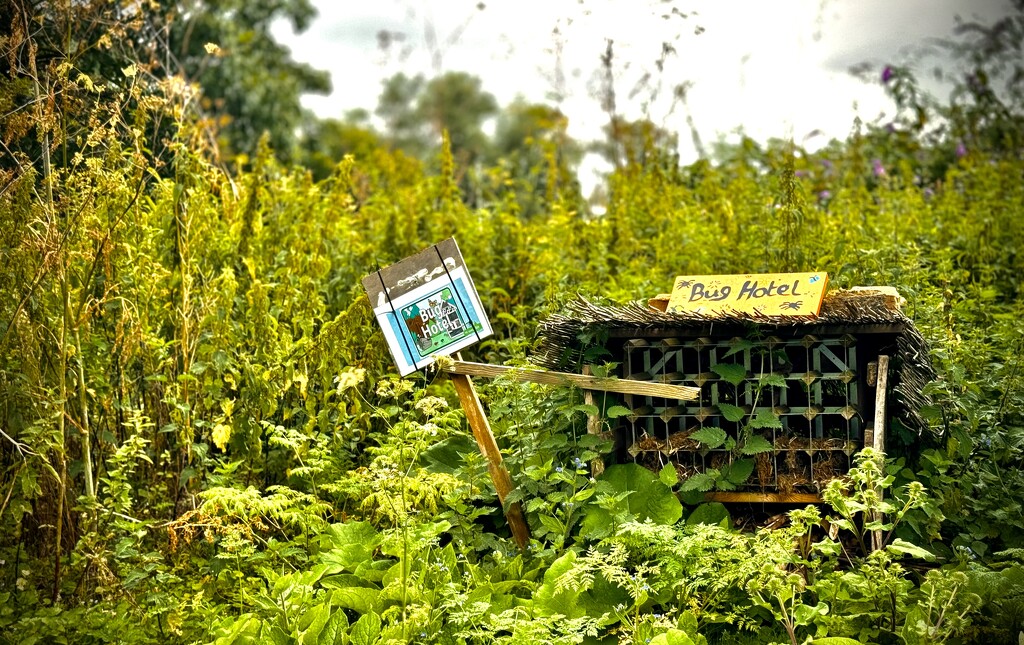 Bug Hotel by jmdeabreu