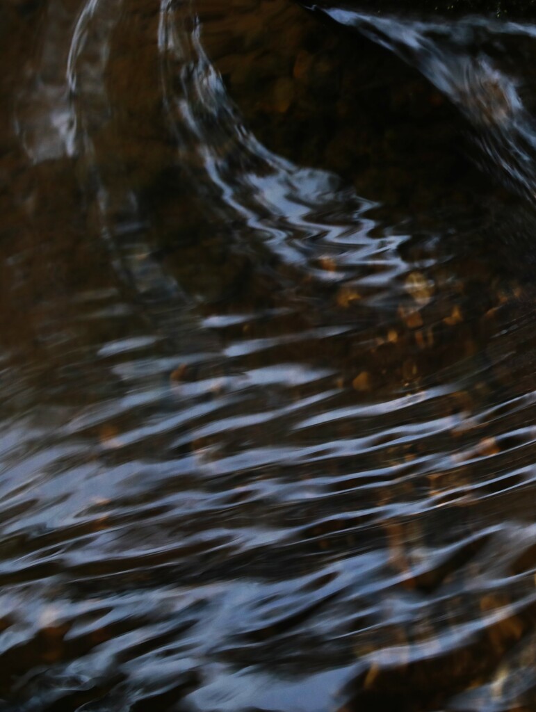 down the plughole by wenbow