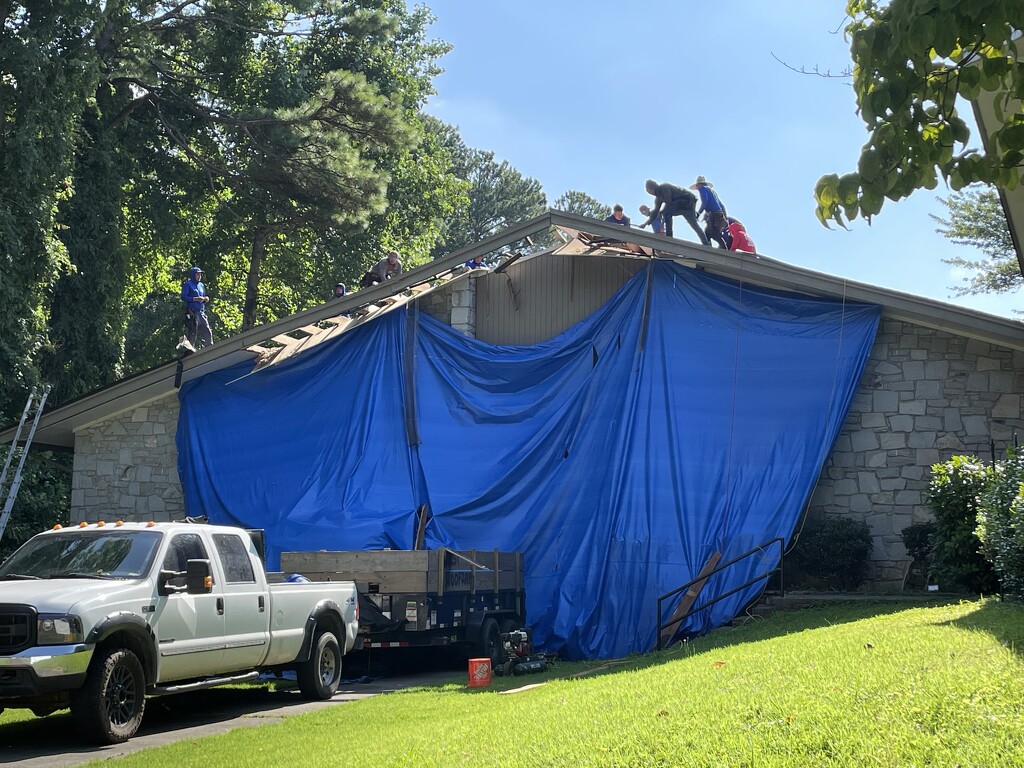 Tree fell on the education building at church by margonaut