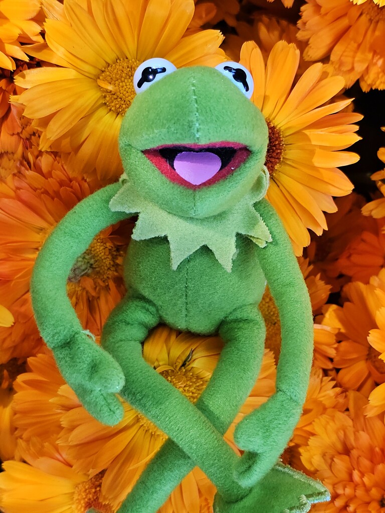 Kermie 20 by edorreandresen