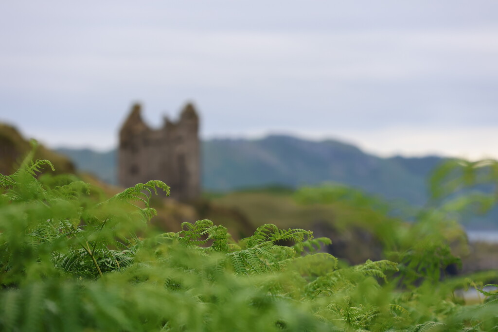 Gylen Castle, Karrera by jamibann