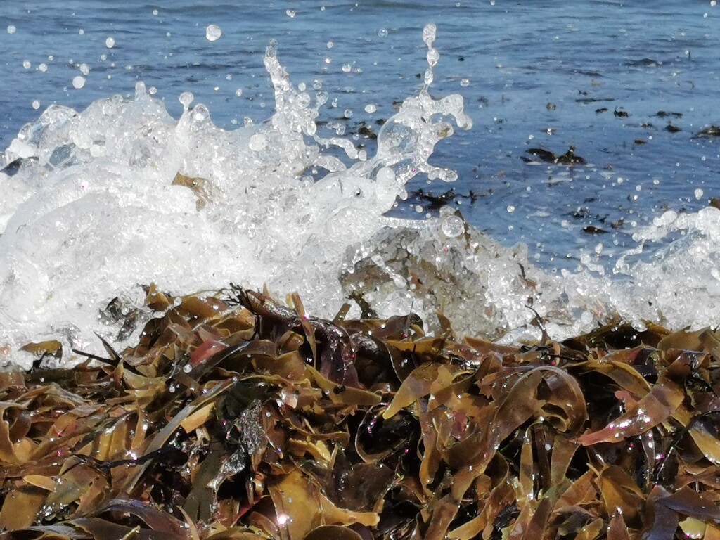 High Tide at Whitely Bay  by plainjaneandnononsense