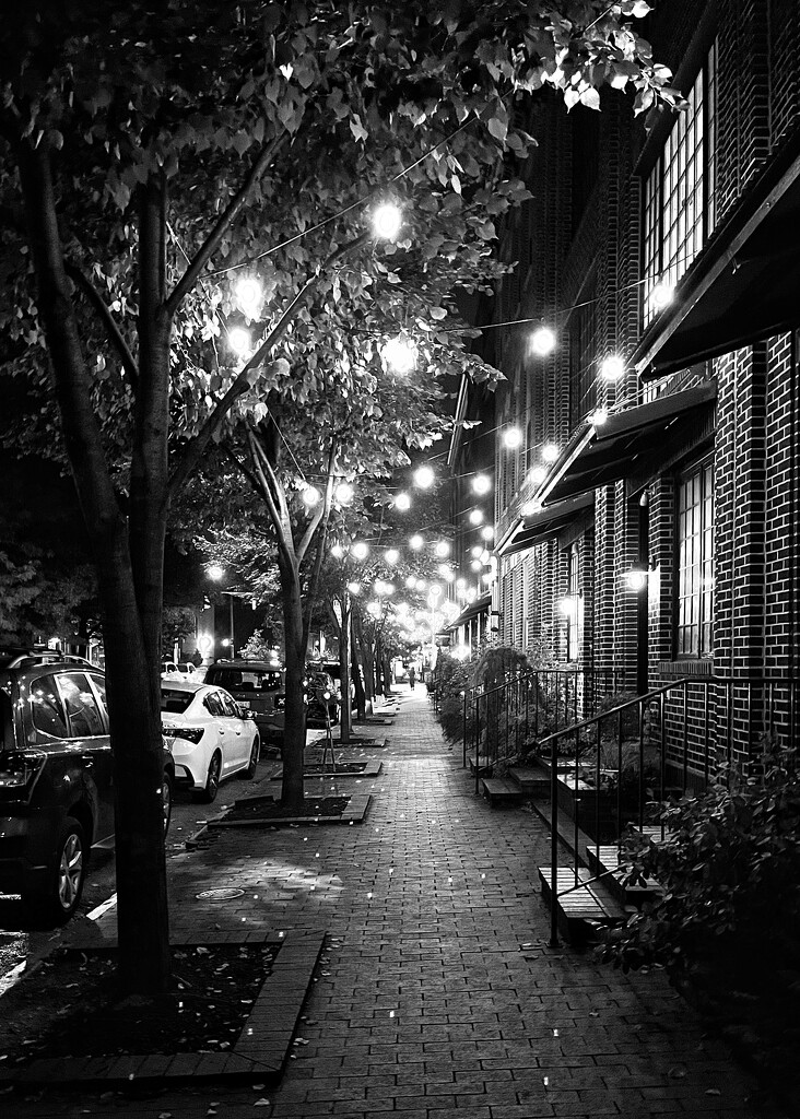 Baltimore Evening Stroll by jakb