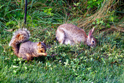 21st Jul 2024 - Friends Share a Meal