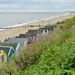Wild Flowers, Beach Huts and The North Sea