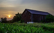 21st Jul 2024 - sunset barn