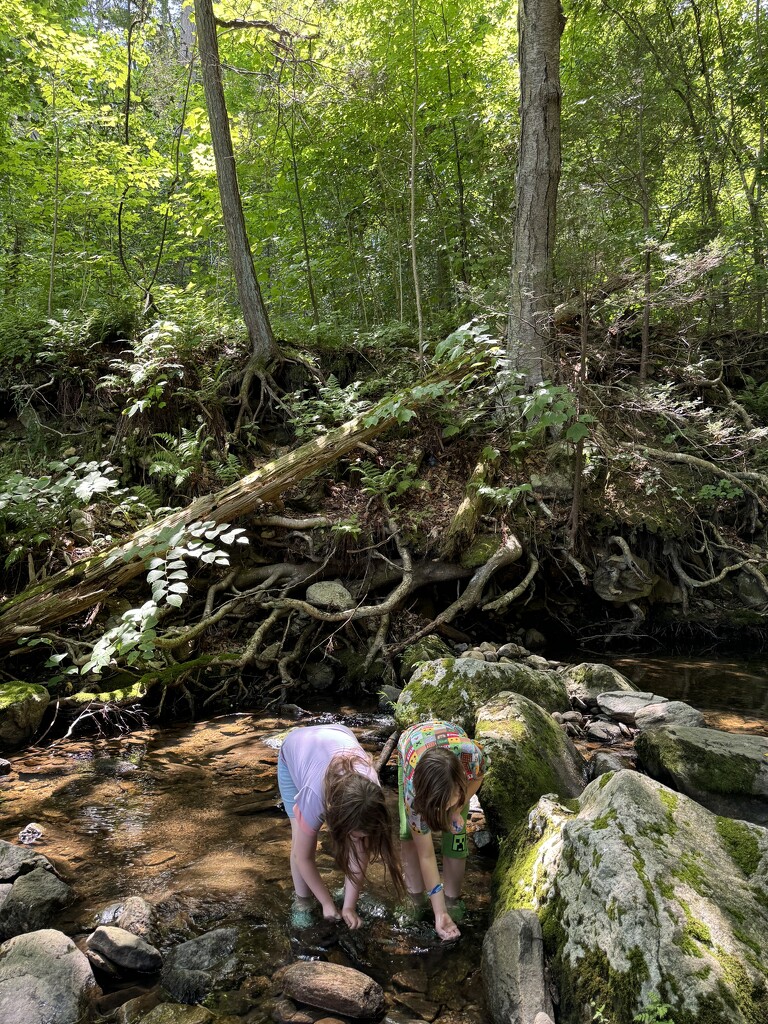 “Hiking” in PJs by blackmutts