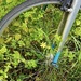 The weeds are wrapping around the bike…