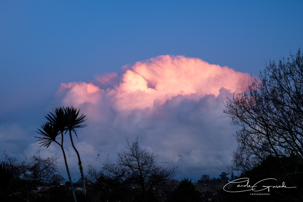 Pink Cloud by yorkshirekiwi