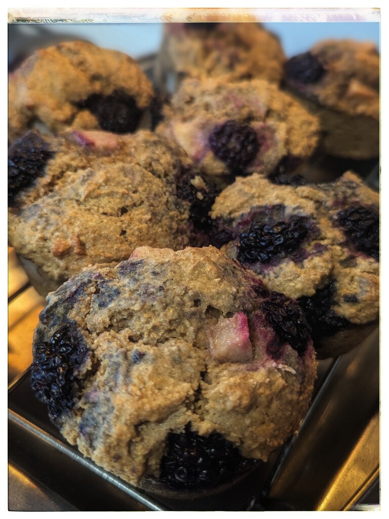 Healthy Muffins  by elf