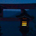 Blue hour at the shrine