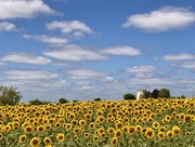 22nd Jul 2024 - Summer in the south of France 