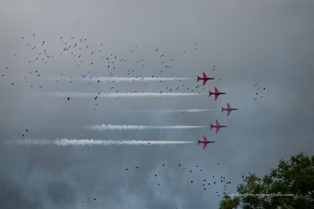 Starlings versus Red Arrows by nigelrogers