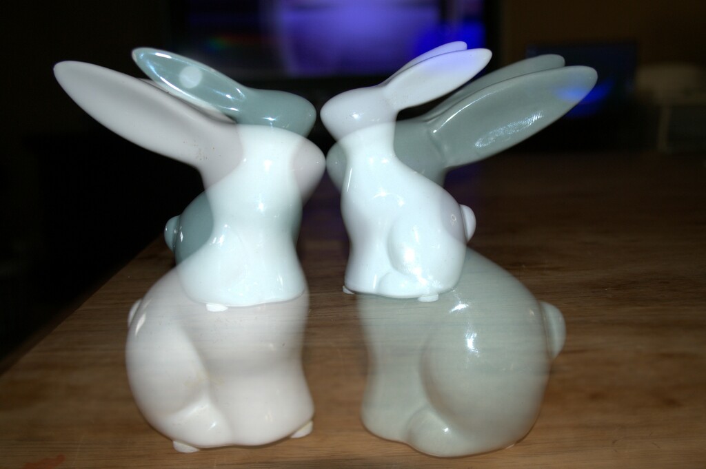 Double bunnies by mdry