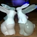 Double bunnies