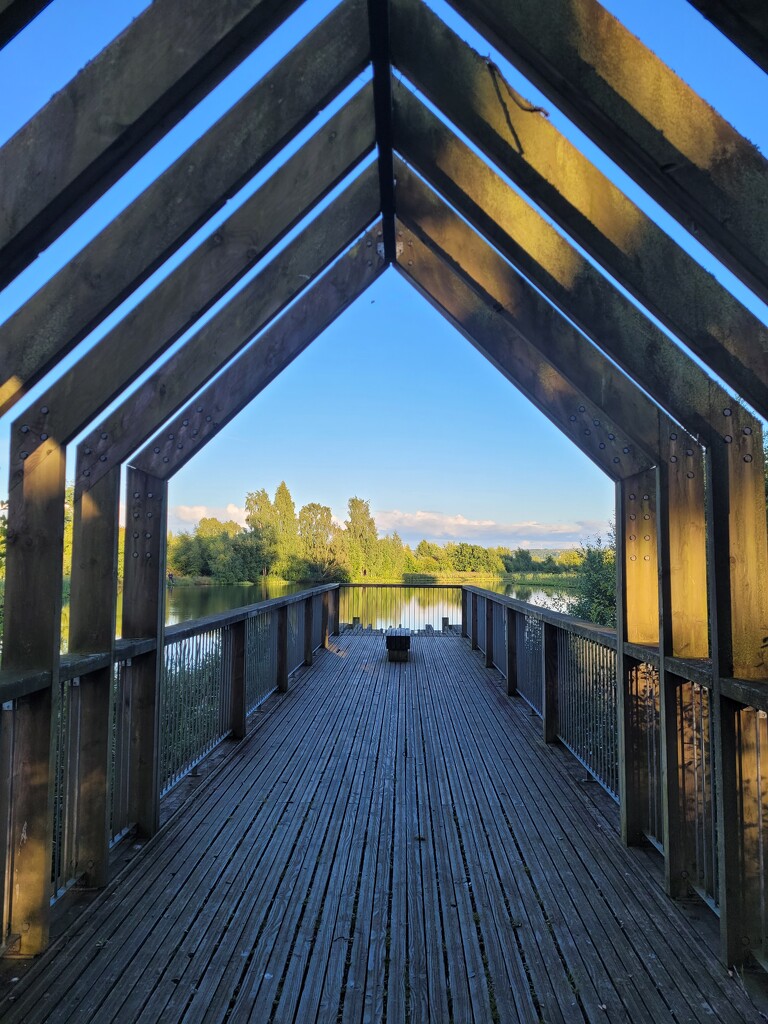 Larbert Loch viewpoint by clearday