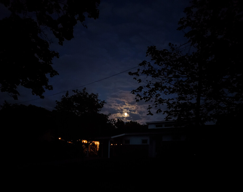 Moon over neighborhood by houser934