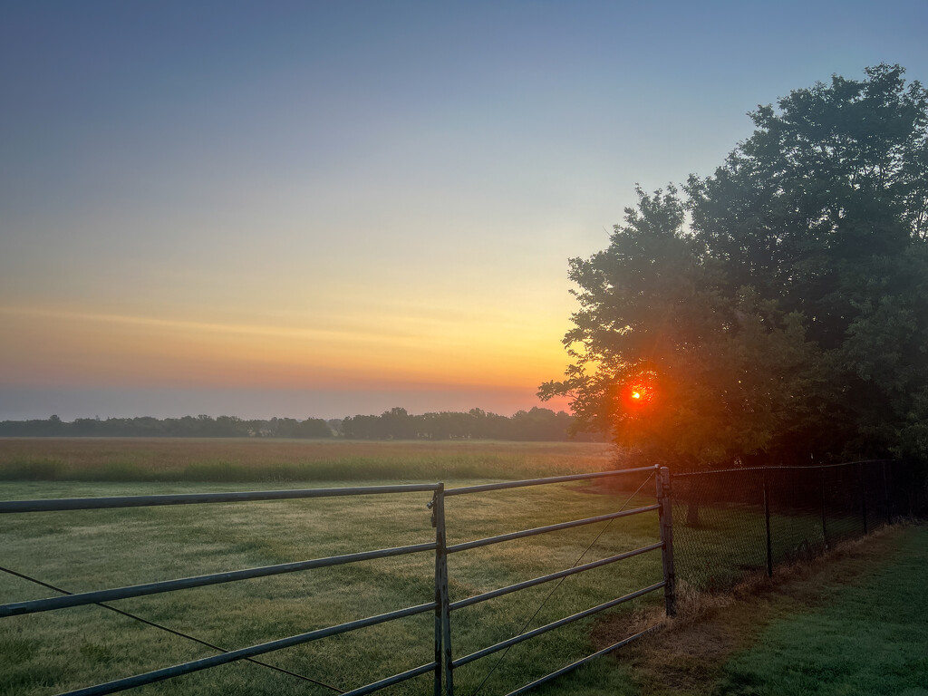 Kansas Sunrise by 2022julieg