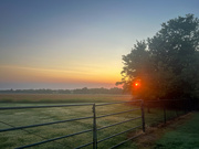 22nd Jul 2024 - Kansas Sunrise