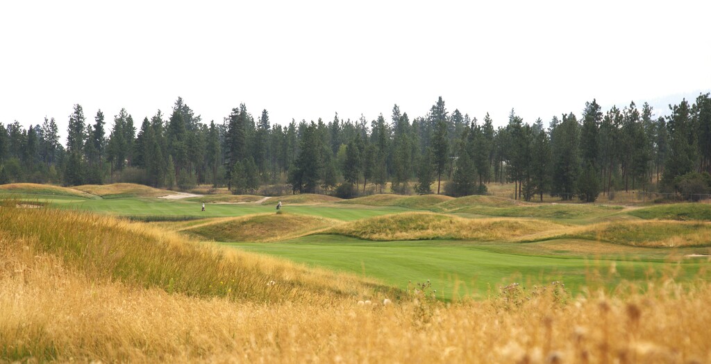 OKANAGAN GOLF CLUB-QUAILS RIDGE by jerzyfotos