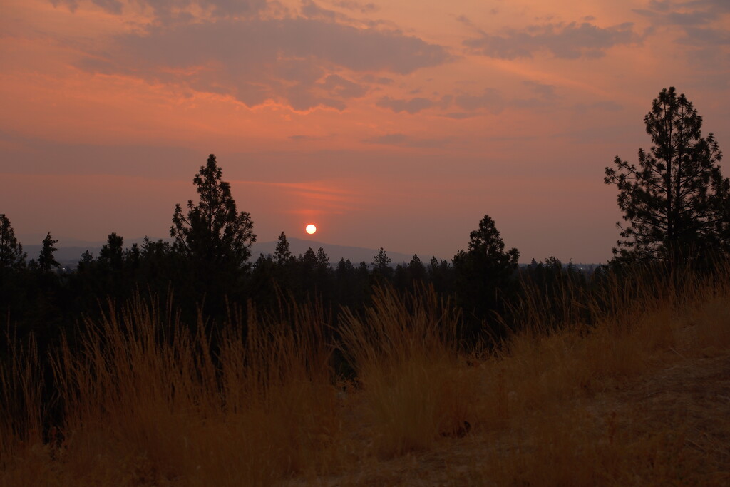 Smokey sunrise  by josharp186