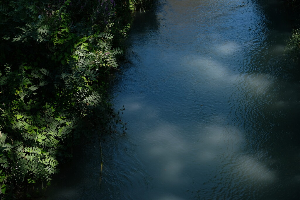 River Reflections by vincent24