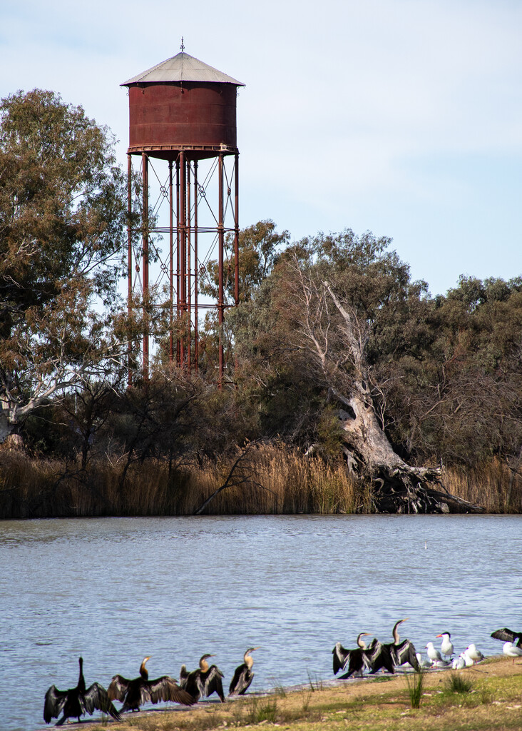 Old Water Tower on Darling River by nannasgotitgoingon