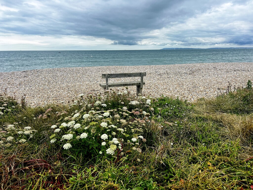 Nothing quite like a view of the sea  by rensala