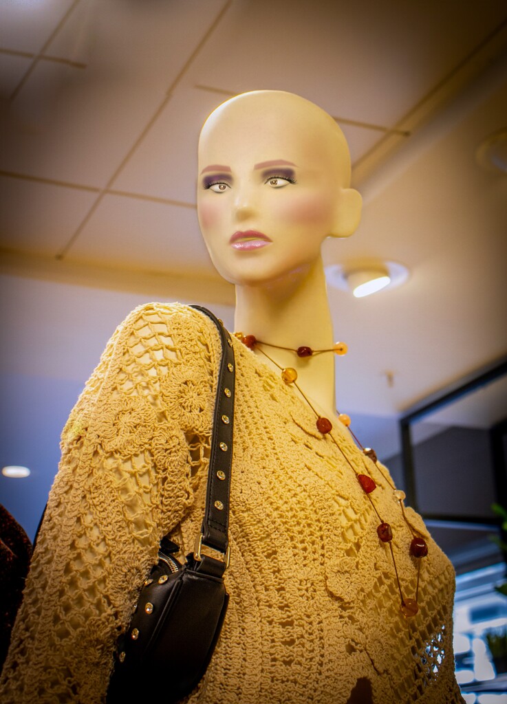 Secret lives of mannequins #64 by swillinbillyflynn