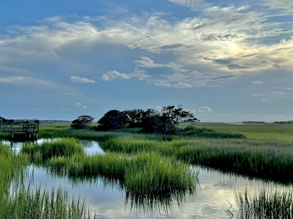 Afternoon marsh scene, Folly Beach, SC by congaree