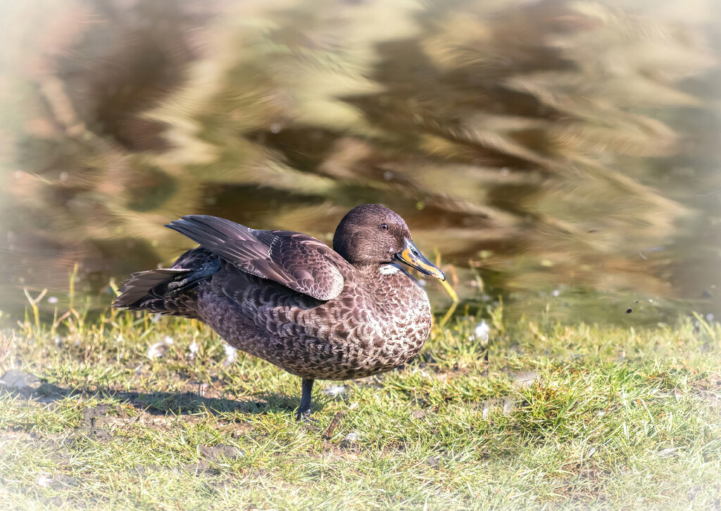 Stretching a little more by ludwigsdiana