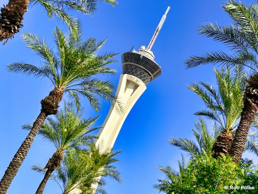 The Stratosphere Tower by robfalbo