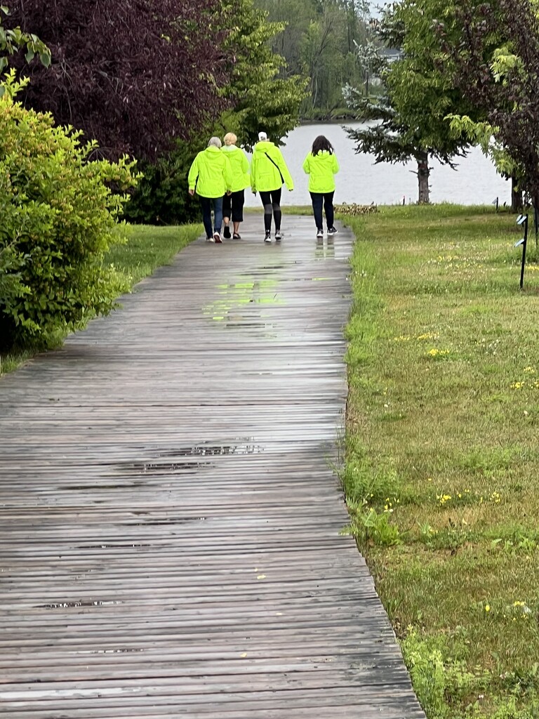 Walking in the Rain by radiogirl