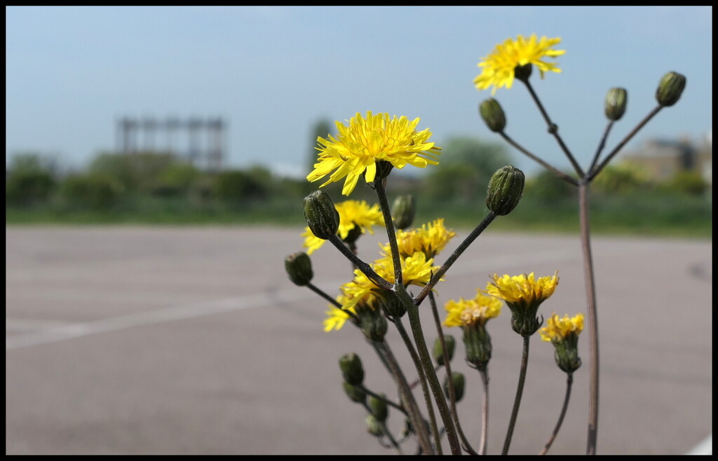 Edgelands by steveandkerry