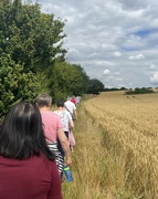 23rd Jul 2024 - Walking Group 