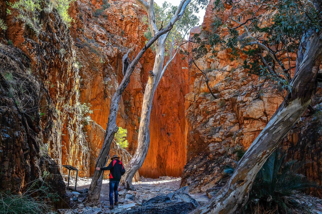 Standley Chasm by pusspup