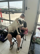 20th Jul 2024 - Lapdog