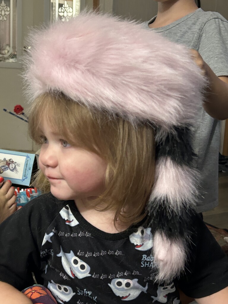 Coonskin cap by bellasmom