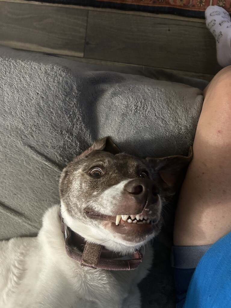 Showing off her teefers by bellasmom