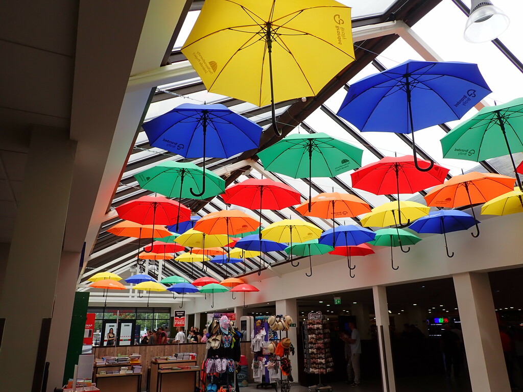 Brightly coloured umbrellas by speedwell